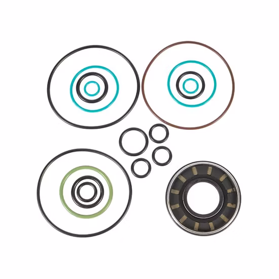 건설 기계 미니 엔진 휠 로더 크롤러 여행용 유압 펌프 부품 굴삭기 예비 수리 키트 Rexroth Komatsu Hyundai Kubota Kobelco